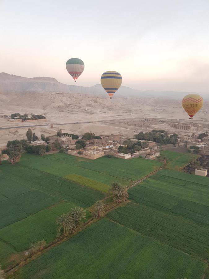 دلتا فيلة *